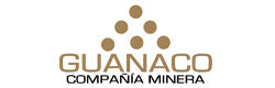 Guanaco compañia minera